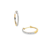 10K Yellow Gold 0.50 CTW Diamond Hoops